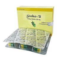 Ginko-B 120mg Capsule