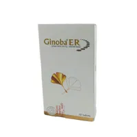 Ginoba ER 240mg Tablet