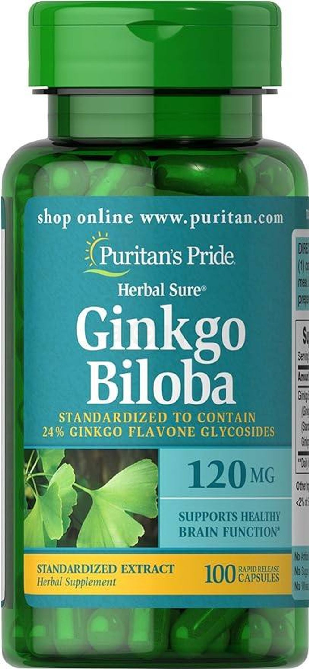 Puritan’s Pride Ginkgo Biloba 120mg 100 Capsules  