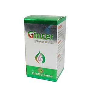 Gincer 60mg Capsule