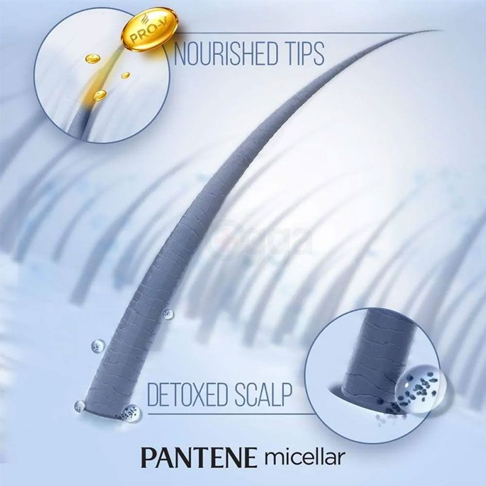 Pantene Micellar Detox & Purify Algae Extract Scalp Shampoo  
