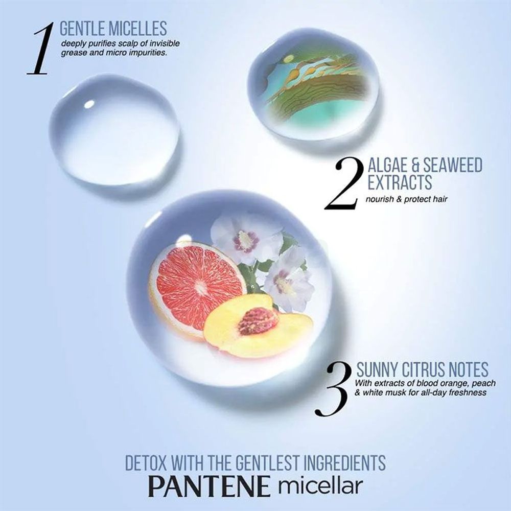 Pantene Micellar Detox & Purify Algae Extract Scalp Shampoo  