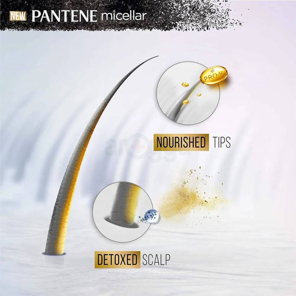Pantene Micellar Detox & Scalp Cleanse White Charcoal Extract Scalp Shampoo 530ml  