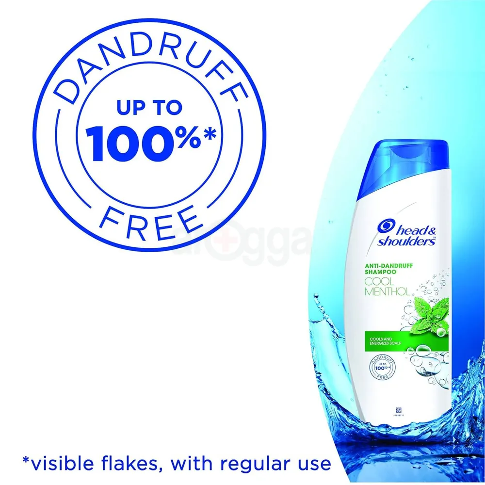 Head and Shoulders Anti Dandruff Cool Menthol Shampoo 340ml  