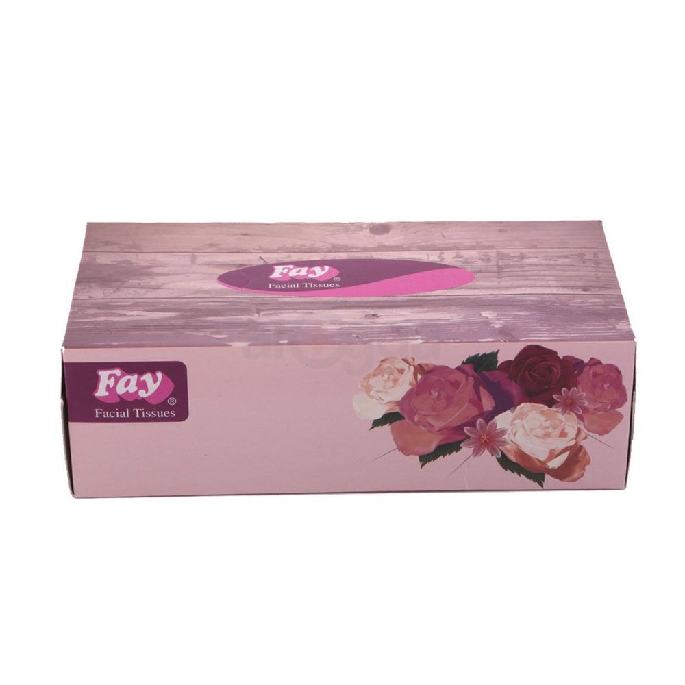 Fay Facial Tissues 100 Pcs  