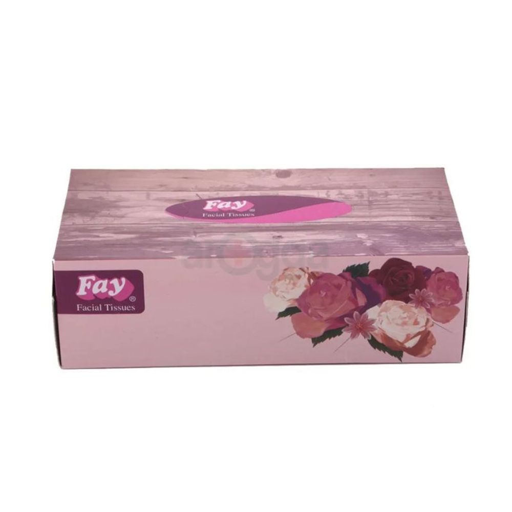 Fay Facial Tissues 100pcs  