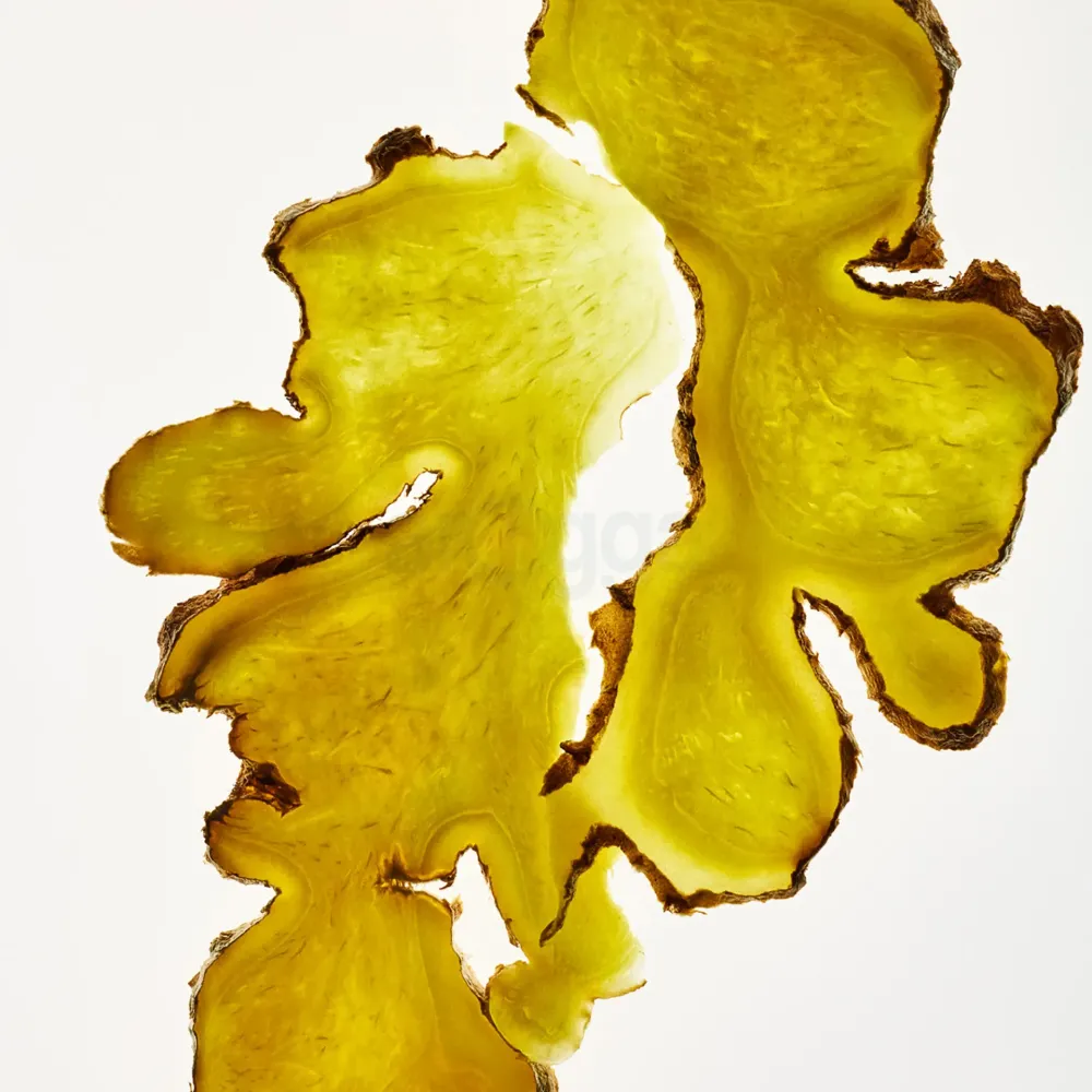 The Body Shop Ginger Scalp Serum for Fine, Weak Hair 50ml  