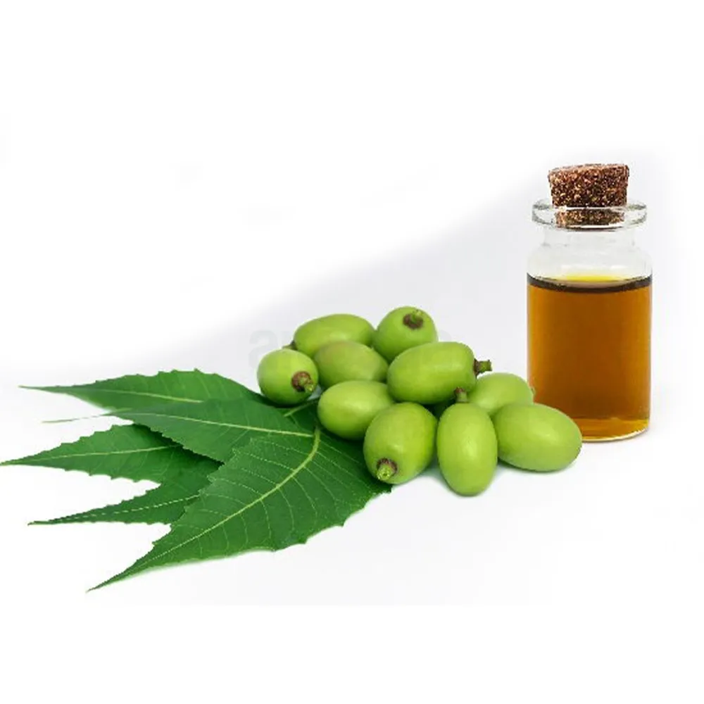 Rongon Herbals Neem Oil - রঙ্গন হারবাল নিম অয়েল  