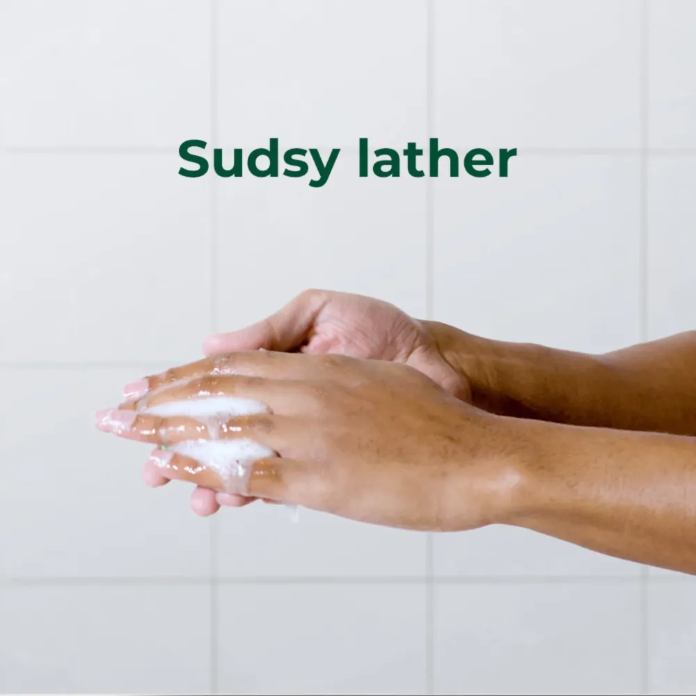 Irish Spring Mountain Chill Body Wash for Men  