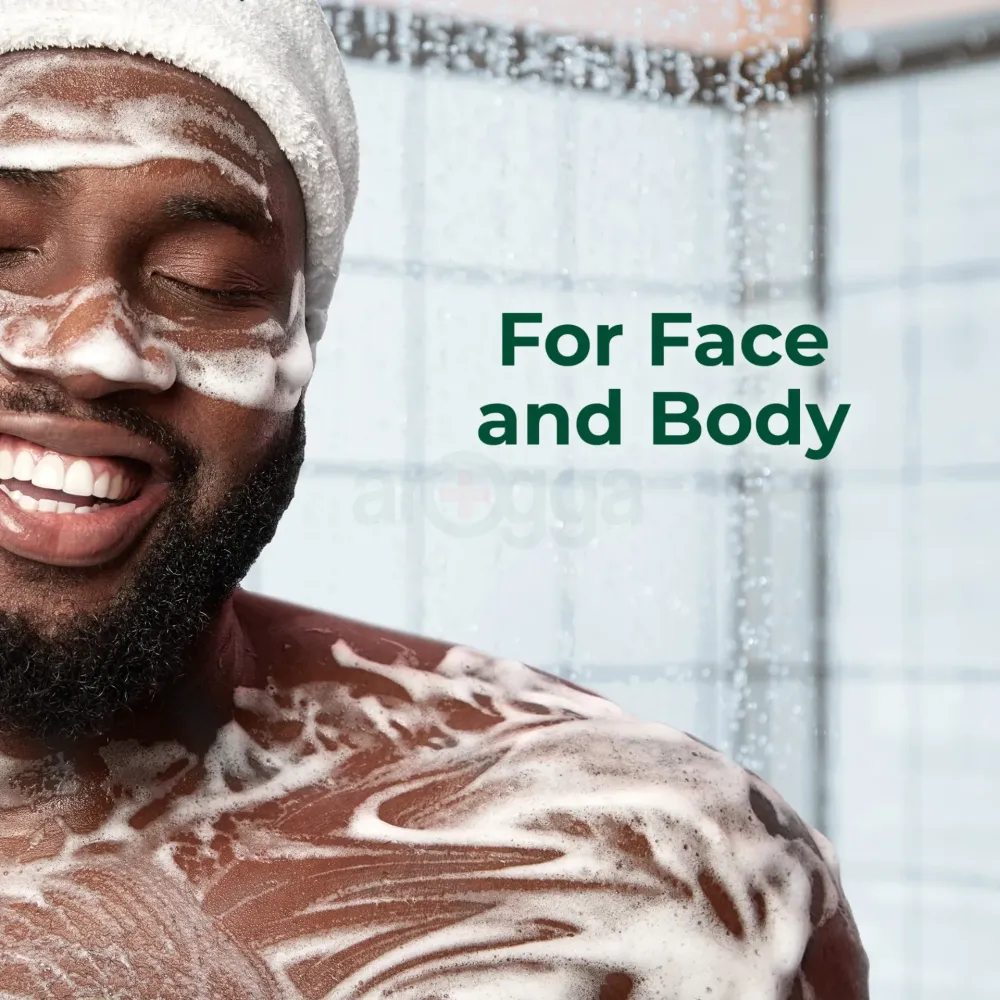 Irish Spring Mountain Chill Body Wash for Men  