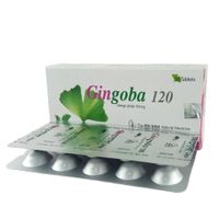 Gingoba 120mg tablet