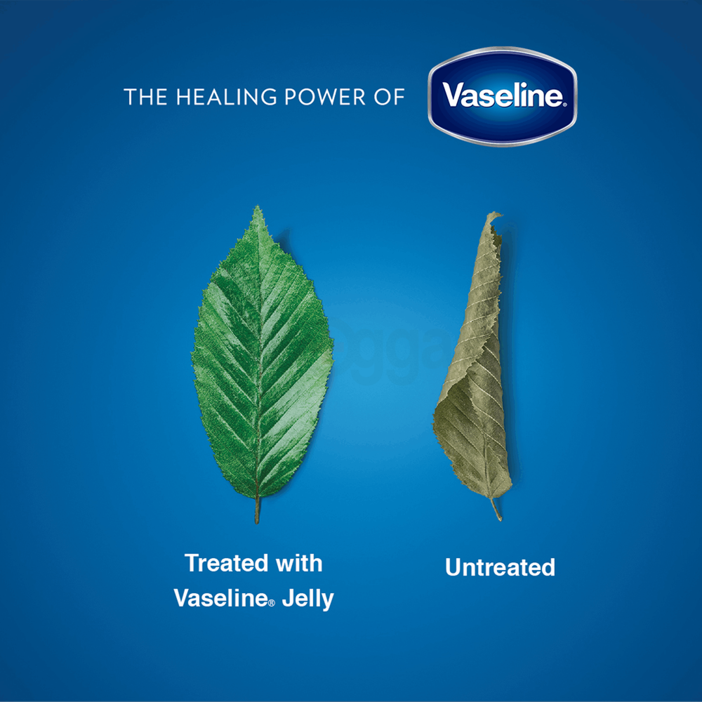 Vaseline Petroleum Jelly 50ml  