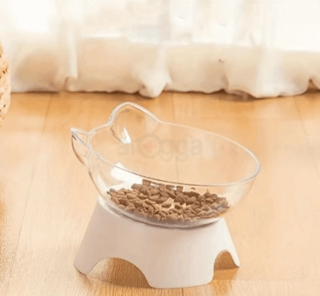 Food Bowl Cat Face Transparent  