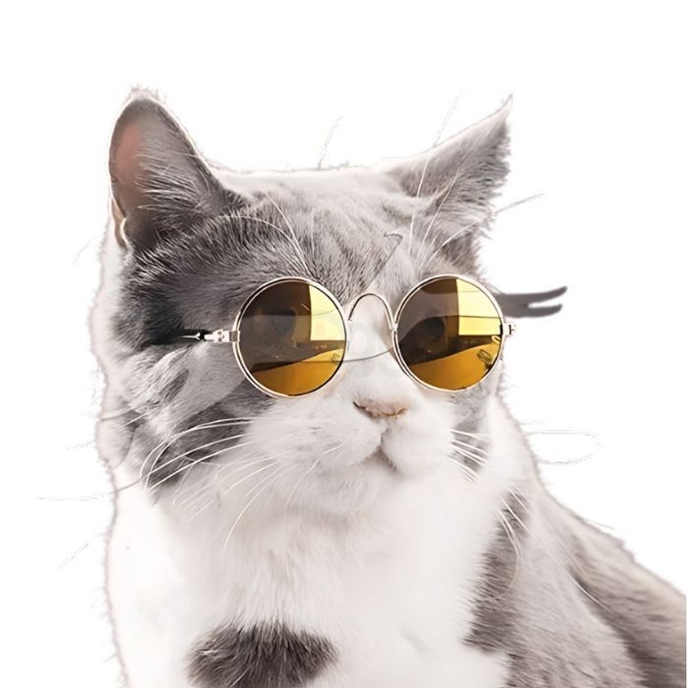 Cat Sunglass  