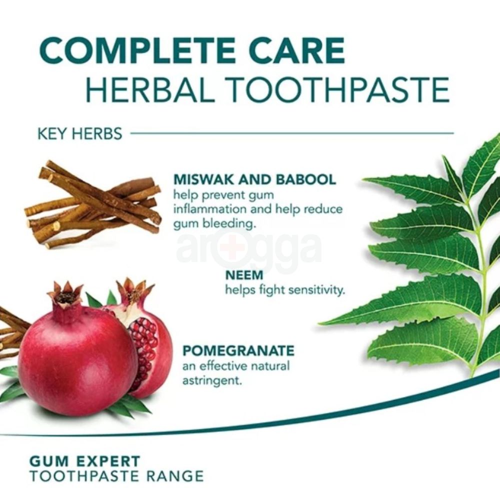 Himalaya Herbal Complete Care Toothpaste  