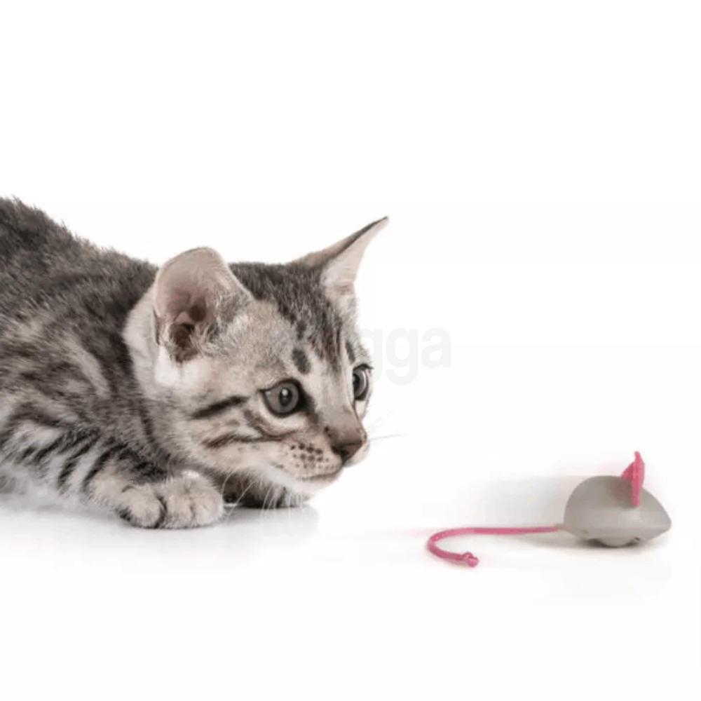 Cat Toy Colorful Mouse   