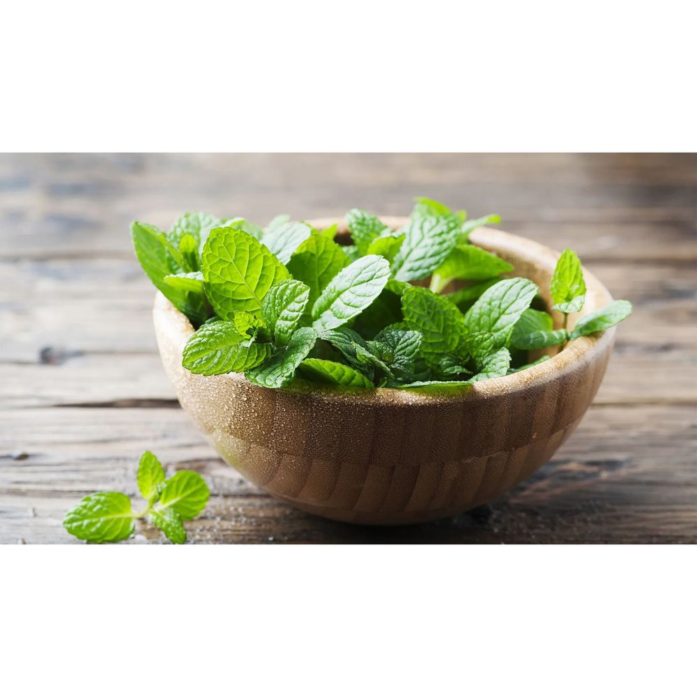 Sensodyne Toothpaste Fresh Mint Daily Care for Sensitive Teeth  