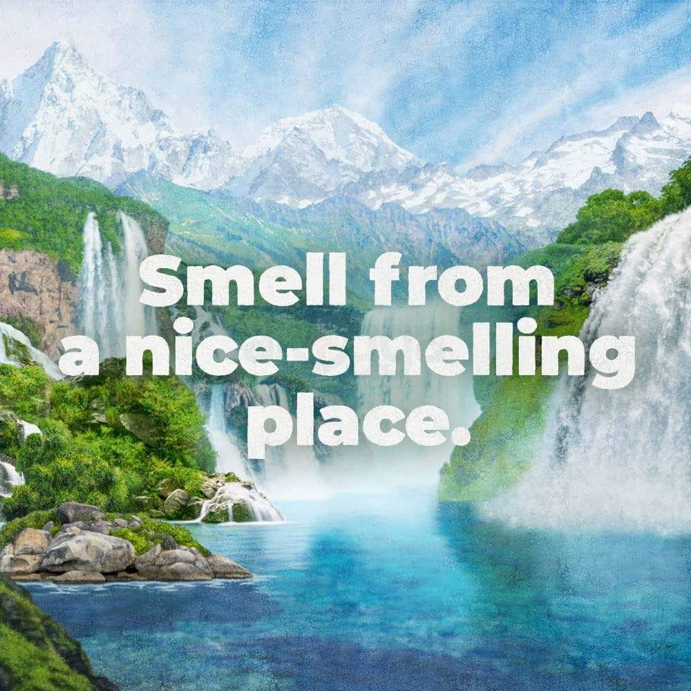 Irish Spring Ultimate Wakeup Moisturizing Face + Body Wash  