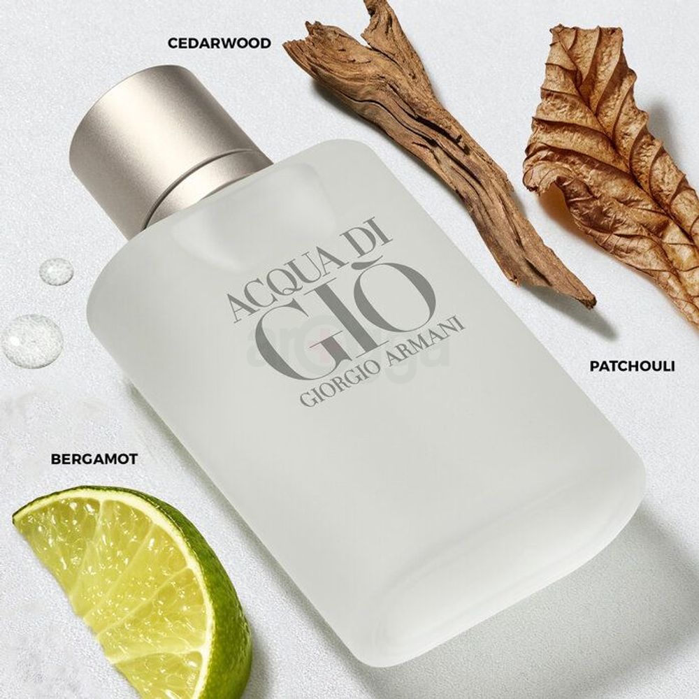 Giorgio Armani Acqua Di Gio EDT Perfume for Men  