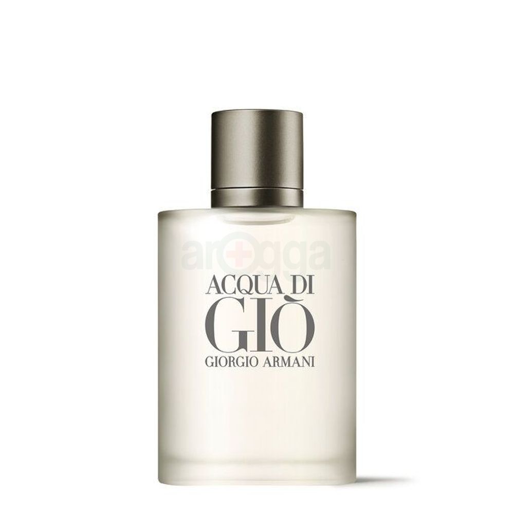 Giorgio Armani Acqua Di Gio EDT Perfume for Men  