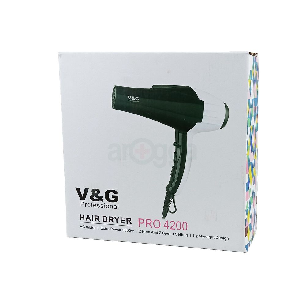 V&G Professional Hair dryer Pro- 4200  