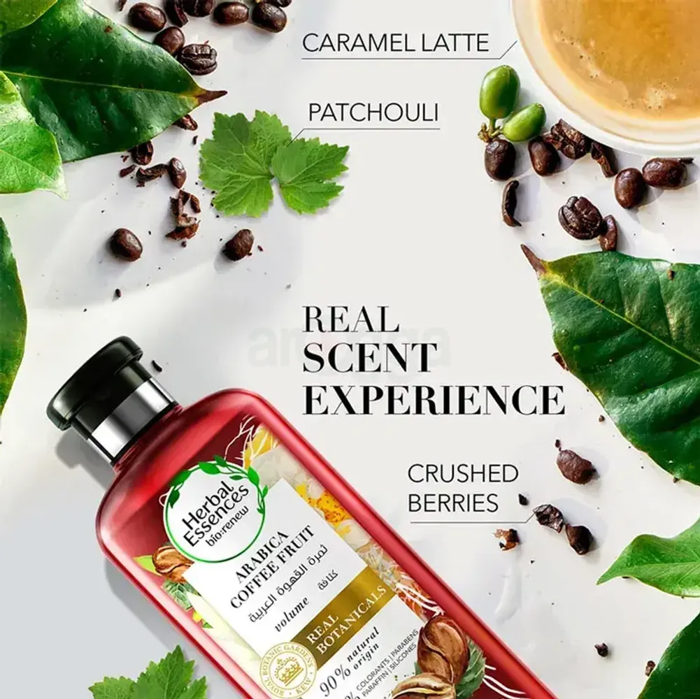 Herbal Essence bio:renew Arabika Coffee Fruit Shampoo  