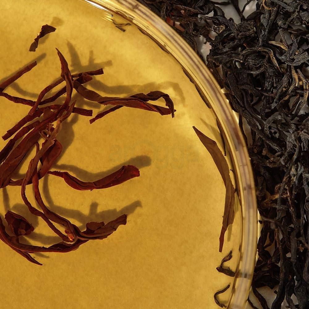 Kaine Kombu Balancing Ampoule Toner  