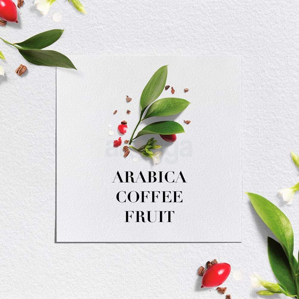 Herbal Essence Biorenew Arabica Coffee Fruit Conditioner  