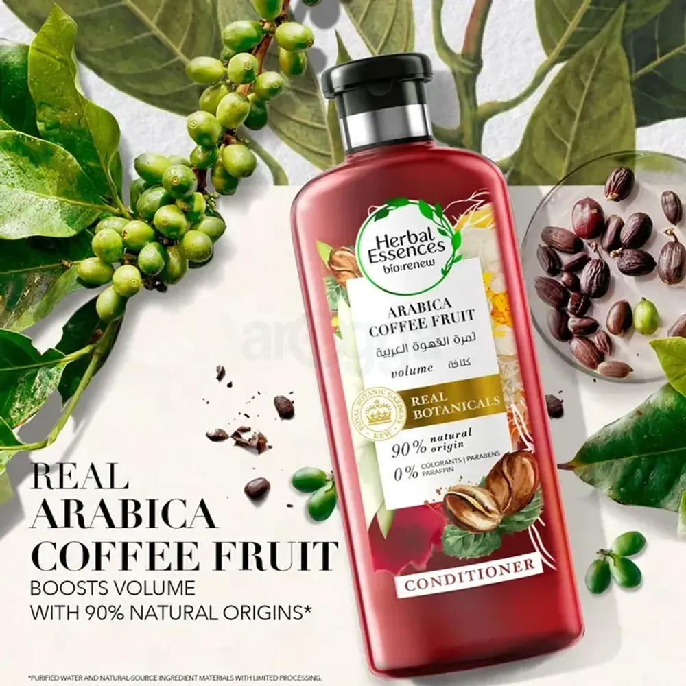 Herbal Essence Biorenew Arabica Coffee Fruit Conditioner  
