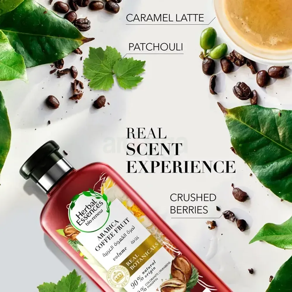 Herbal Essence Biorenew Arabica Coffee Fruit Conditioner  