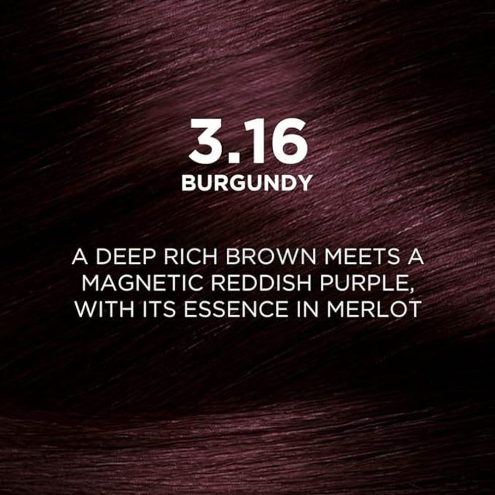 Loreal Paris Excellence Creme Hair Color 3.16 Burgundy  