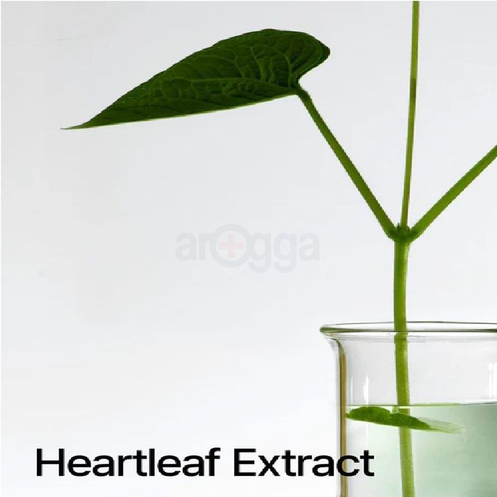 Anua Heartleaf 77% Soothing Toner  