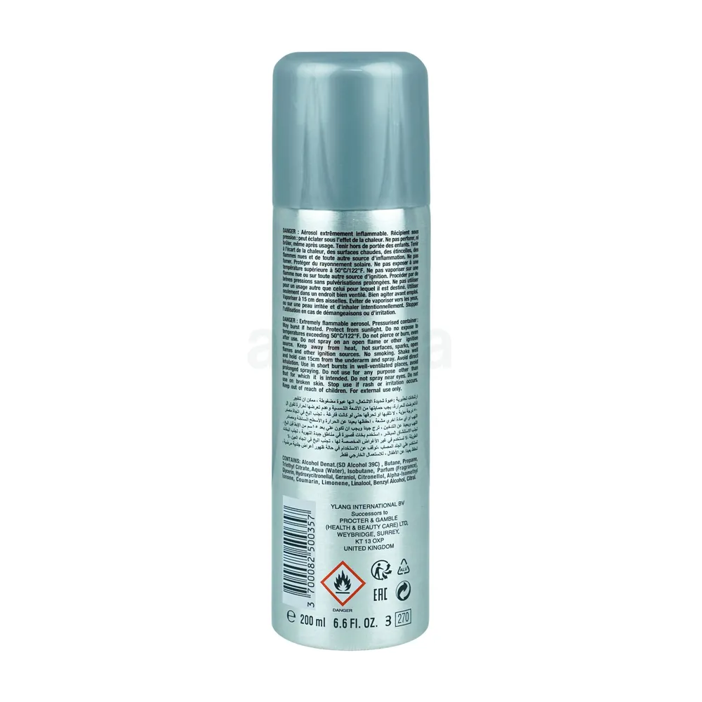 Havoc Deodorant Body Spray - Silver  
