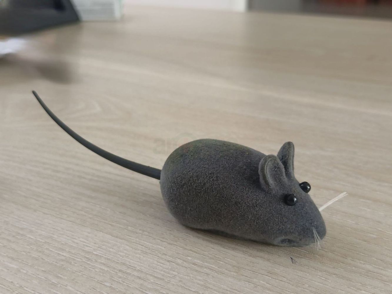 Cat Mouse With Stimulating Sound   