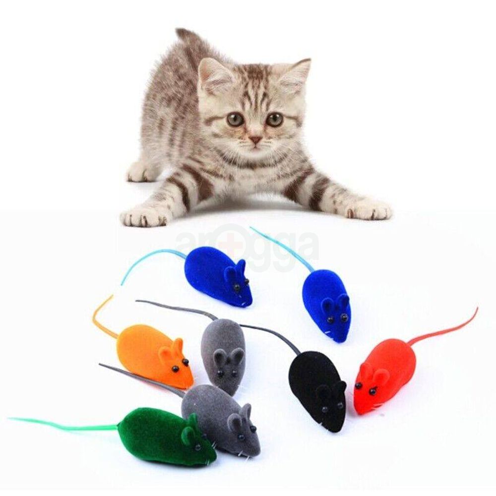 Cat Mouse With Stimulating Sound   