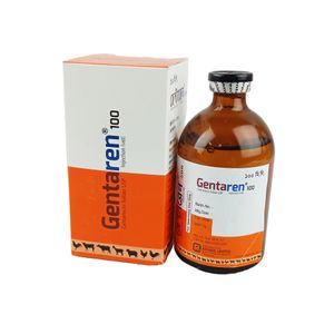 Gentaren (Vet) IM/IV Injection  