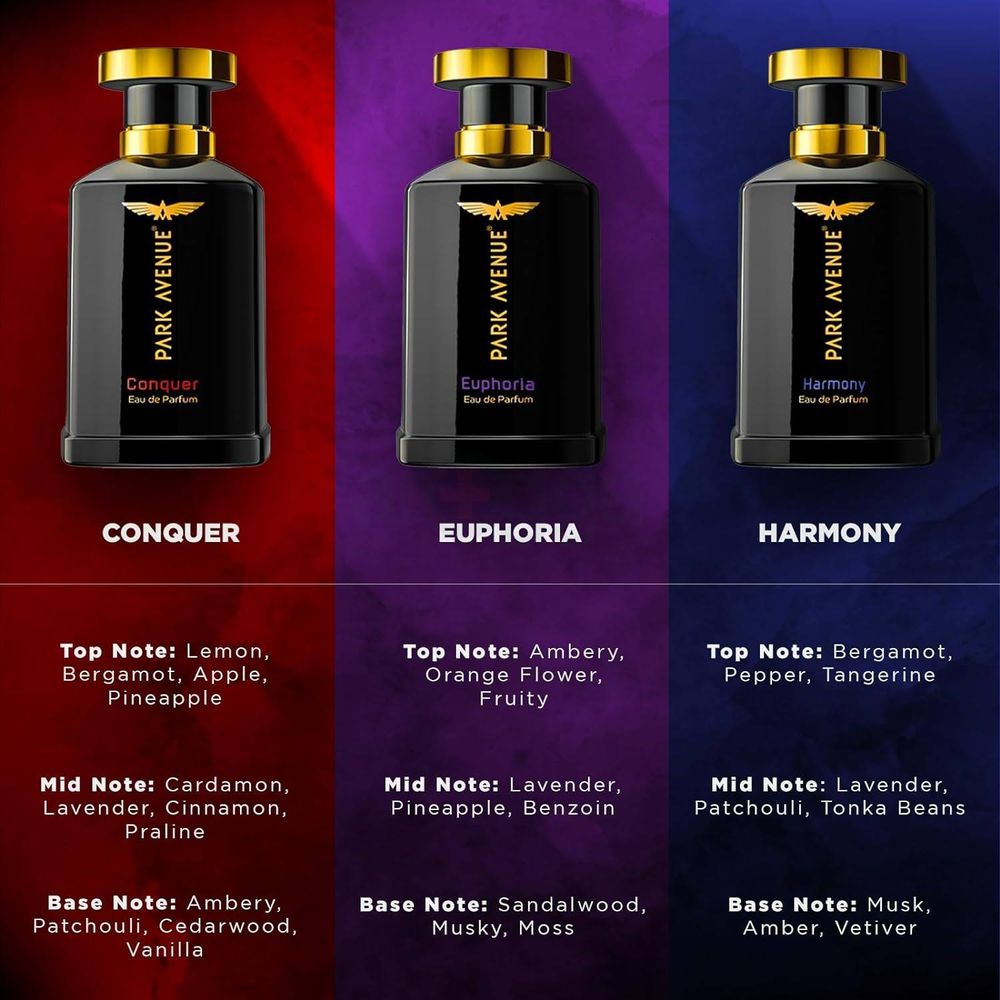 Park Avenue Conquer Eau de Parfum for Men 100ml  
