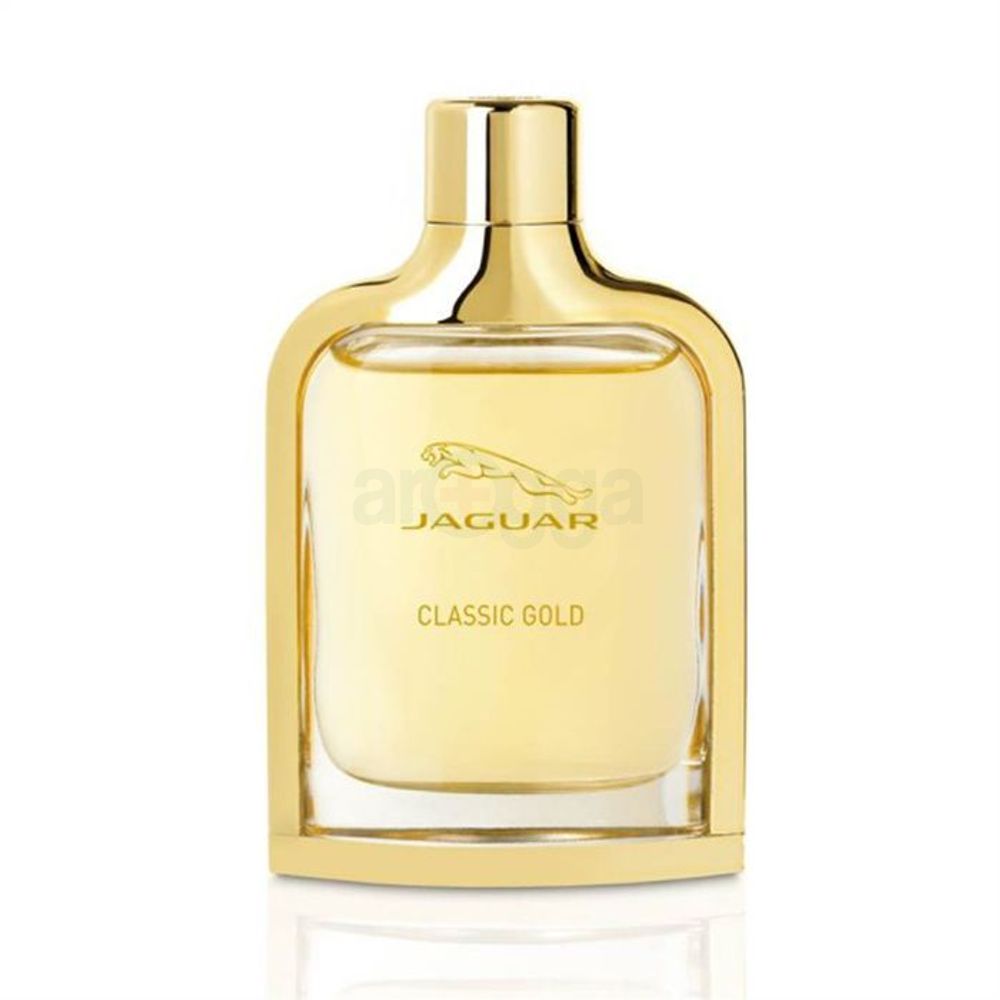 Jaguar Classic Gold Eau De Toilette Vaporisateur Spray for Men (Made in France)  
