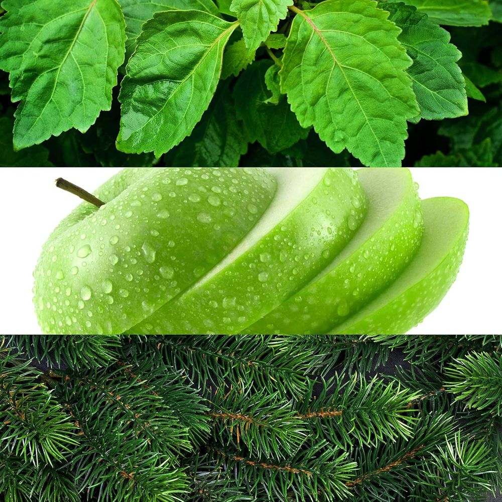 Lacoste Red EDT For Men  