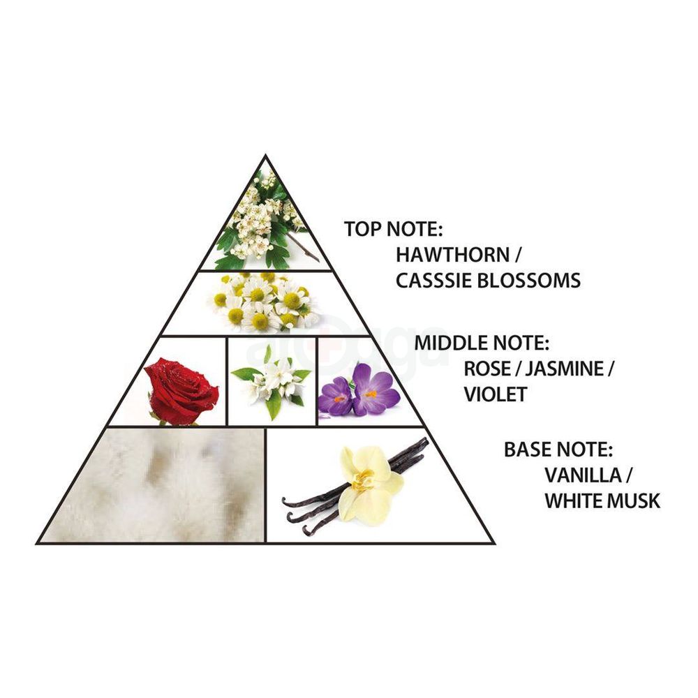 Al Haramain Narjis Concentrated Perfume Oil for Women  