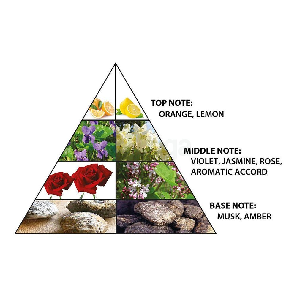 Al Haramain Rafia Gold Concentrated Perfume Oil for Men & Women  