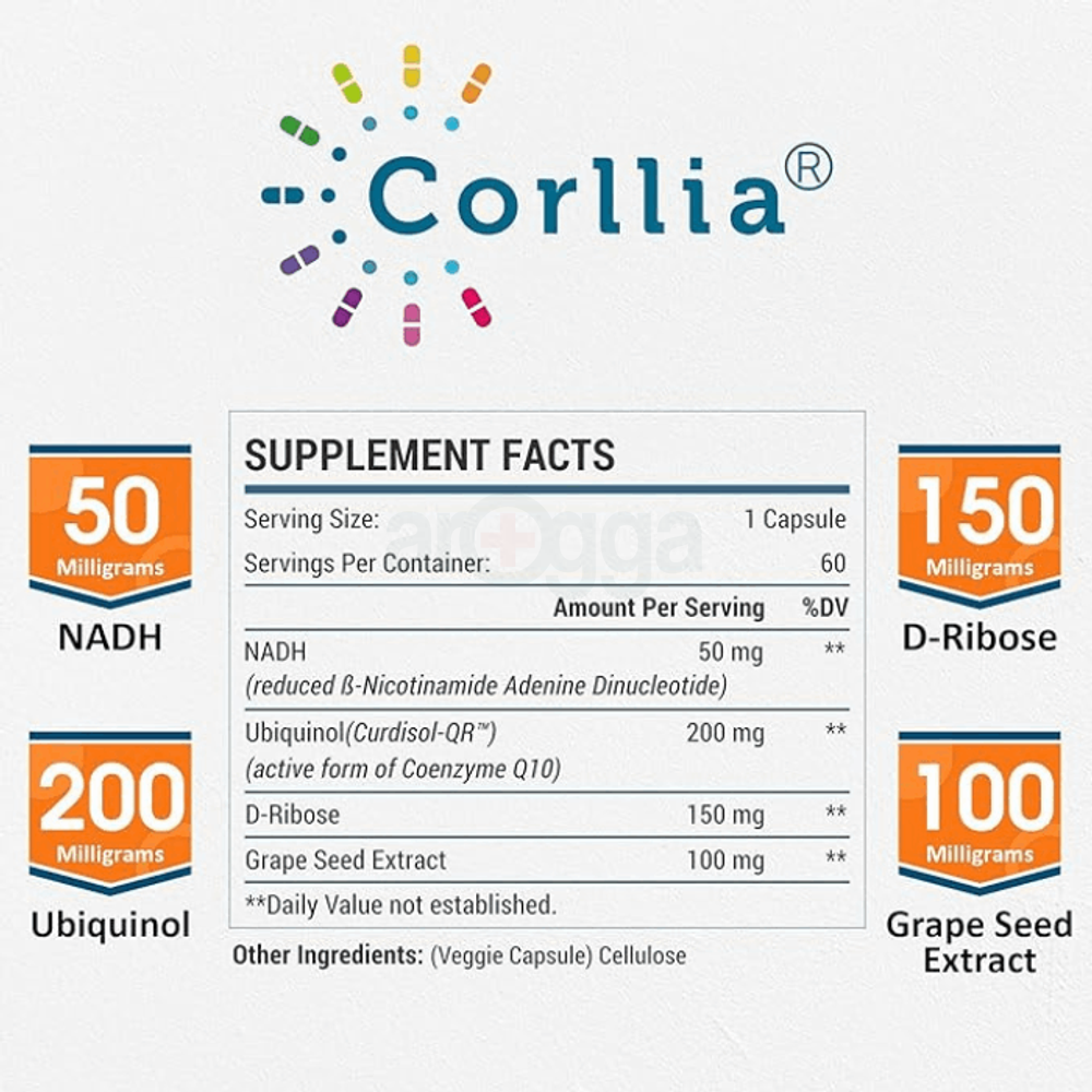 Corllia Store NADH 50mg + CoQ10 200mg + D-Ribose 150mg Supplement		
  