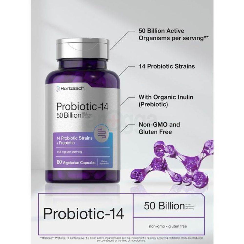 Horbäach Probiotics with Prebiotics | 60 Capsules | 50 Billion Active Organisms  