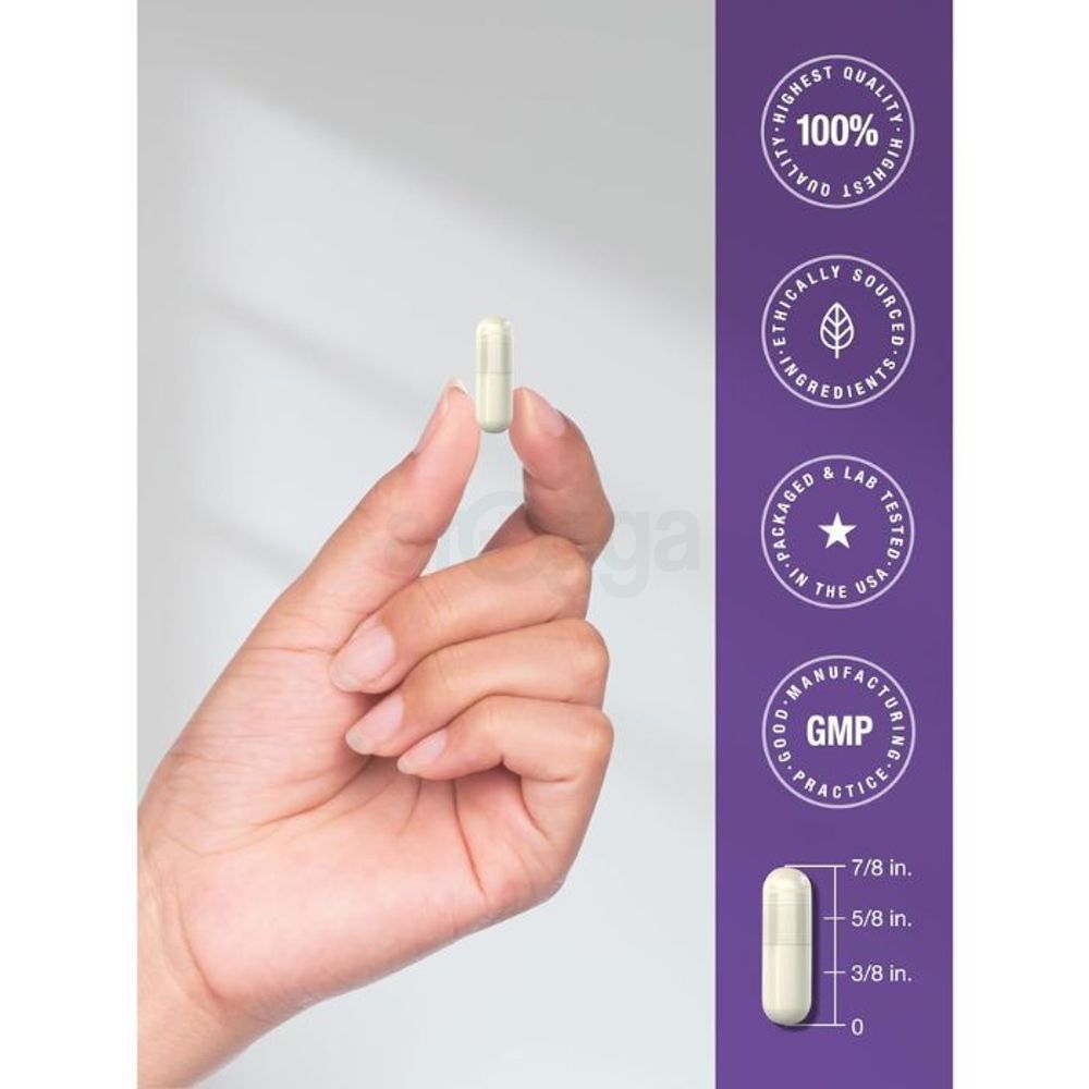 Horbäach Probiotics with Prebiotics | 60 Capsules | 50 Billion Active Organisms  