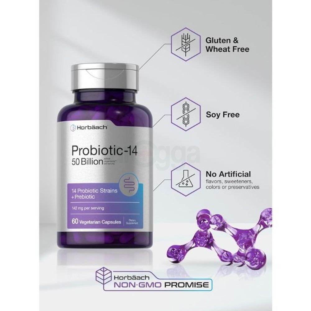Horbäach Probiotics with Prebiotics | 60 Capsules | 50 Billion Active Organisms  