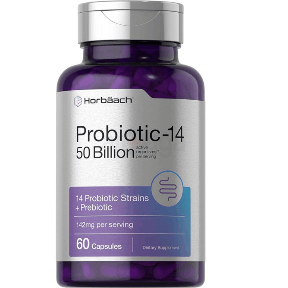 Horbäach Probiotics with Prebiotics | 60 Capsules | 50 Billion Active Organisms  