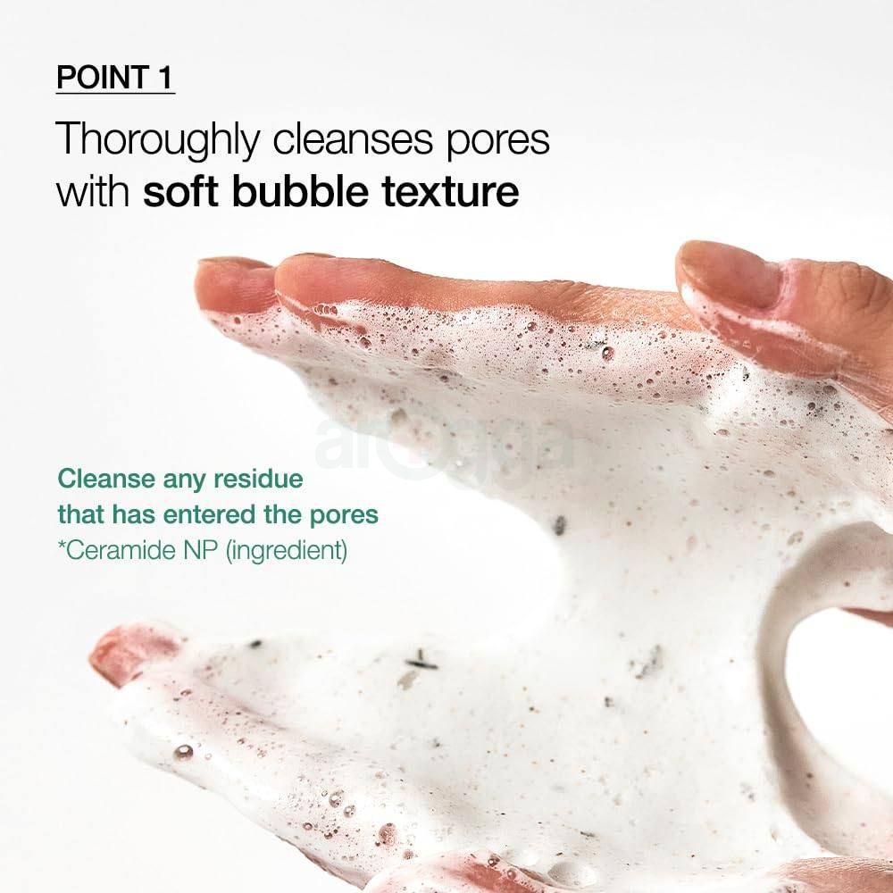 Anua Heartleaf Quercetinol Pore Deep Cleansing Foam  