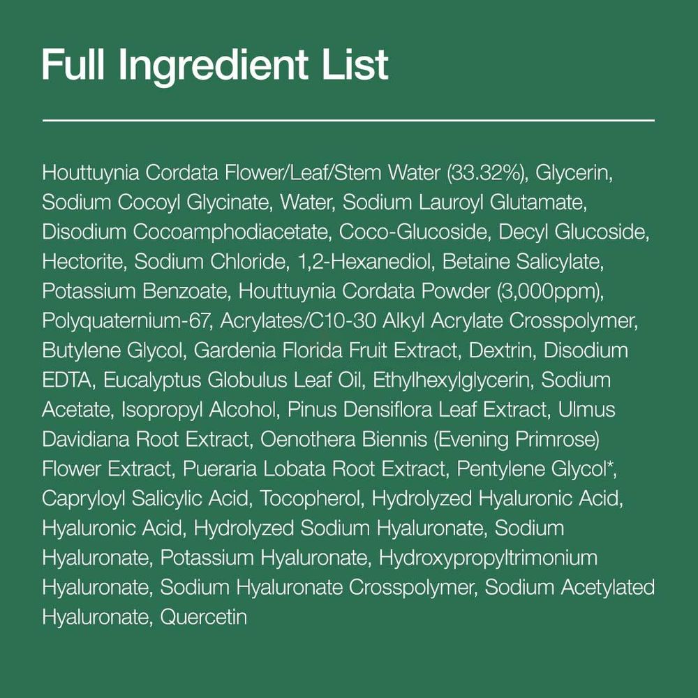 Anua Heartleaf Quercetinol Pore Deep Cleansing Foam  