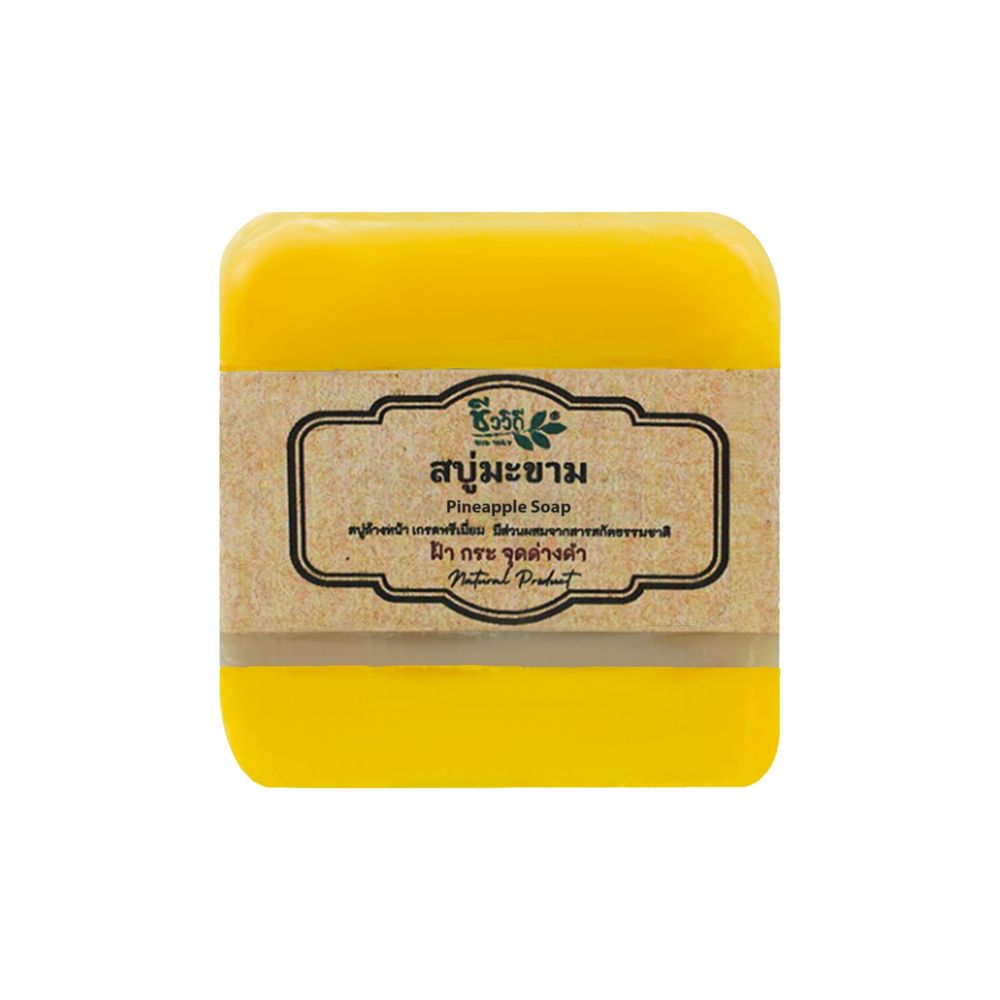 Biology Chivavithi Pineapple Soap (Free Foaming Pouch)  