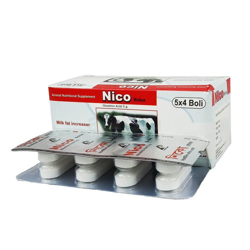 Nico  
